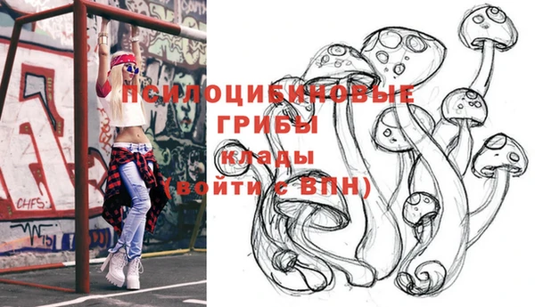 винт Мегион