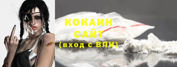 винт Мегион
