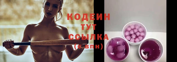 крисы Медвежьегорск