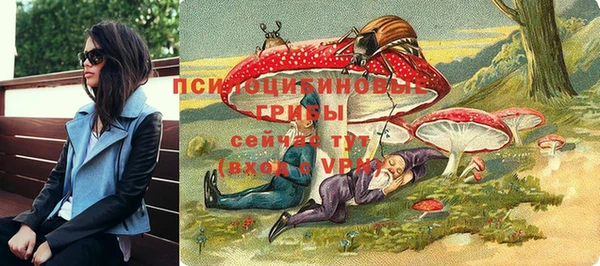 крисы Медвежьегорск