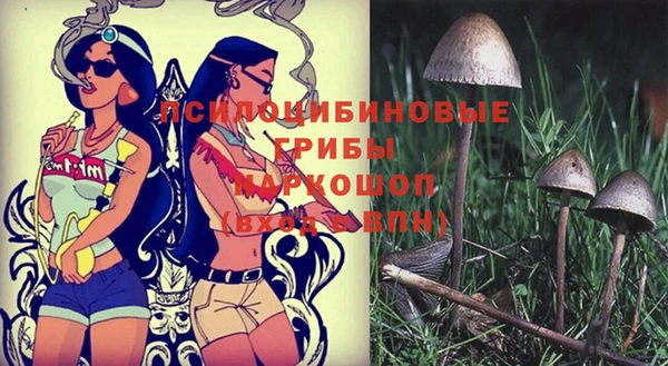 крисы Медвежьегорск