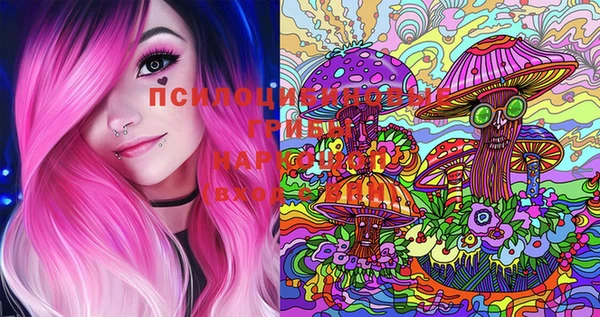 марки lsd Медногорск